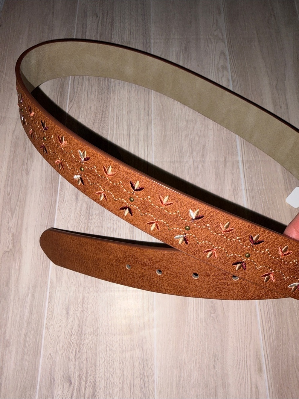 Time and Tru Brown Embroidered Floral Belt